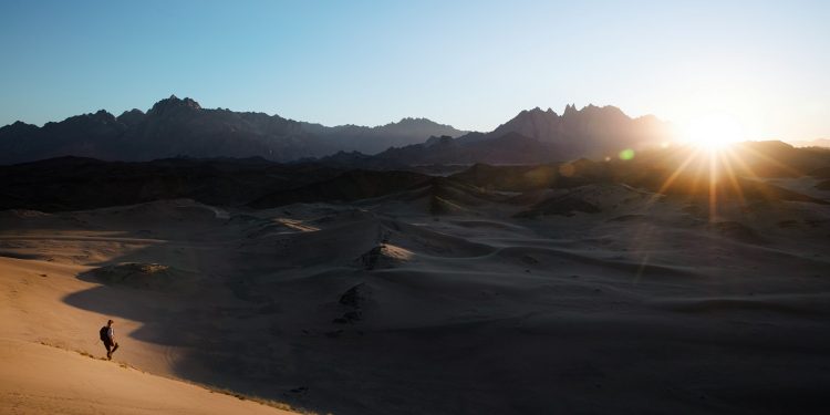 The Future of Travel: Emerging Trends in Travel Booking Sites