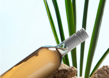 Tea Tree Oil Shampoo for Itchy Scalp